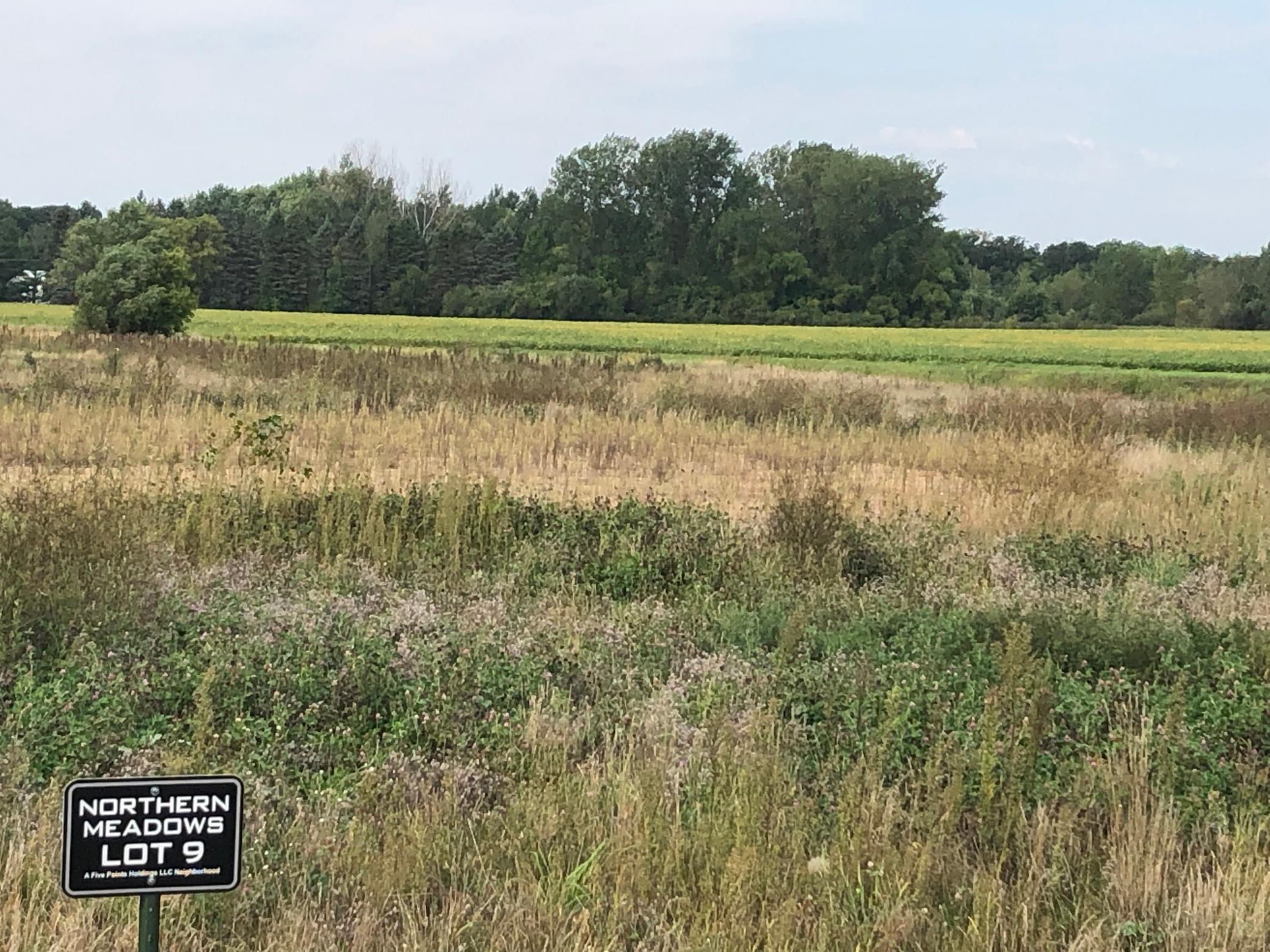 513 Northern Meadows Lane