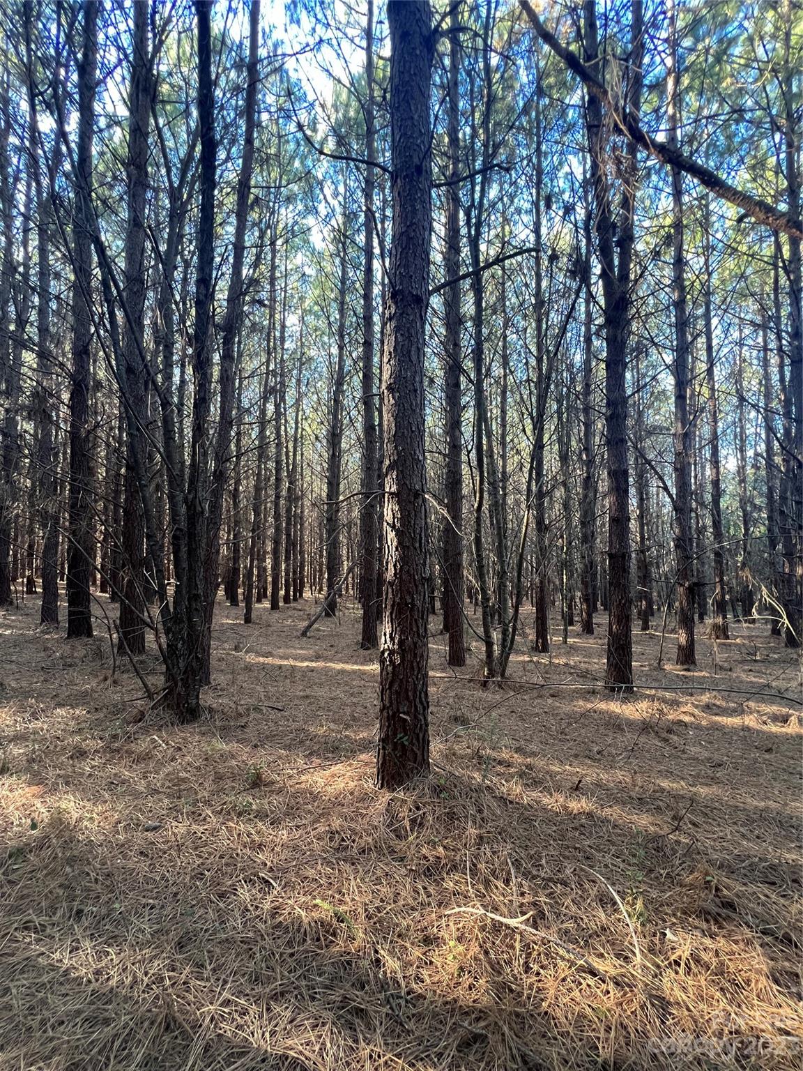 678 Turnersburg Highway