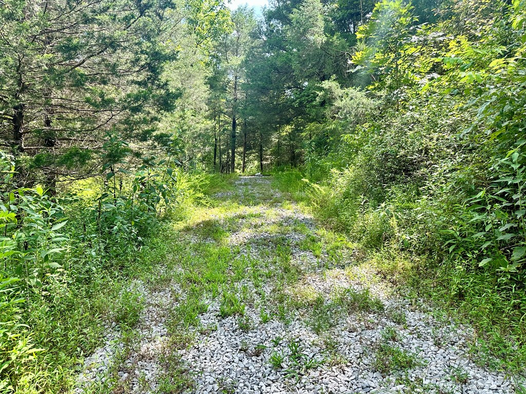 392 Possum Hollow Rd