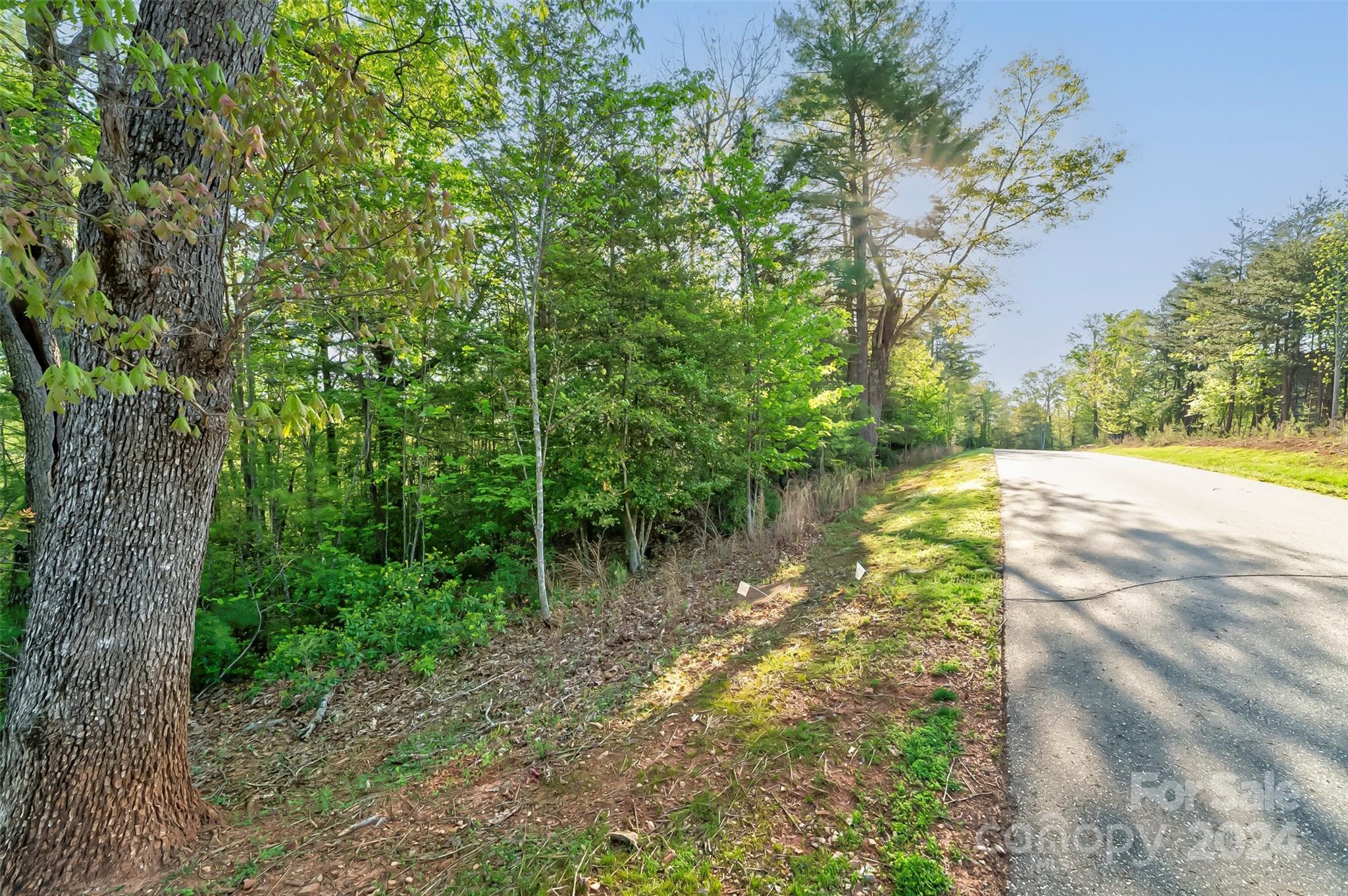 2088 Catawba Trail 161