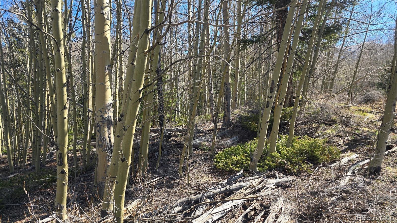 Lot 6708 Debbie Road