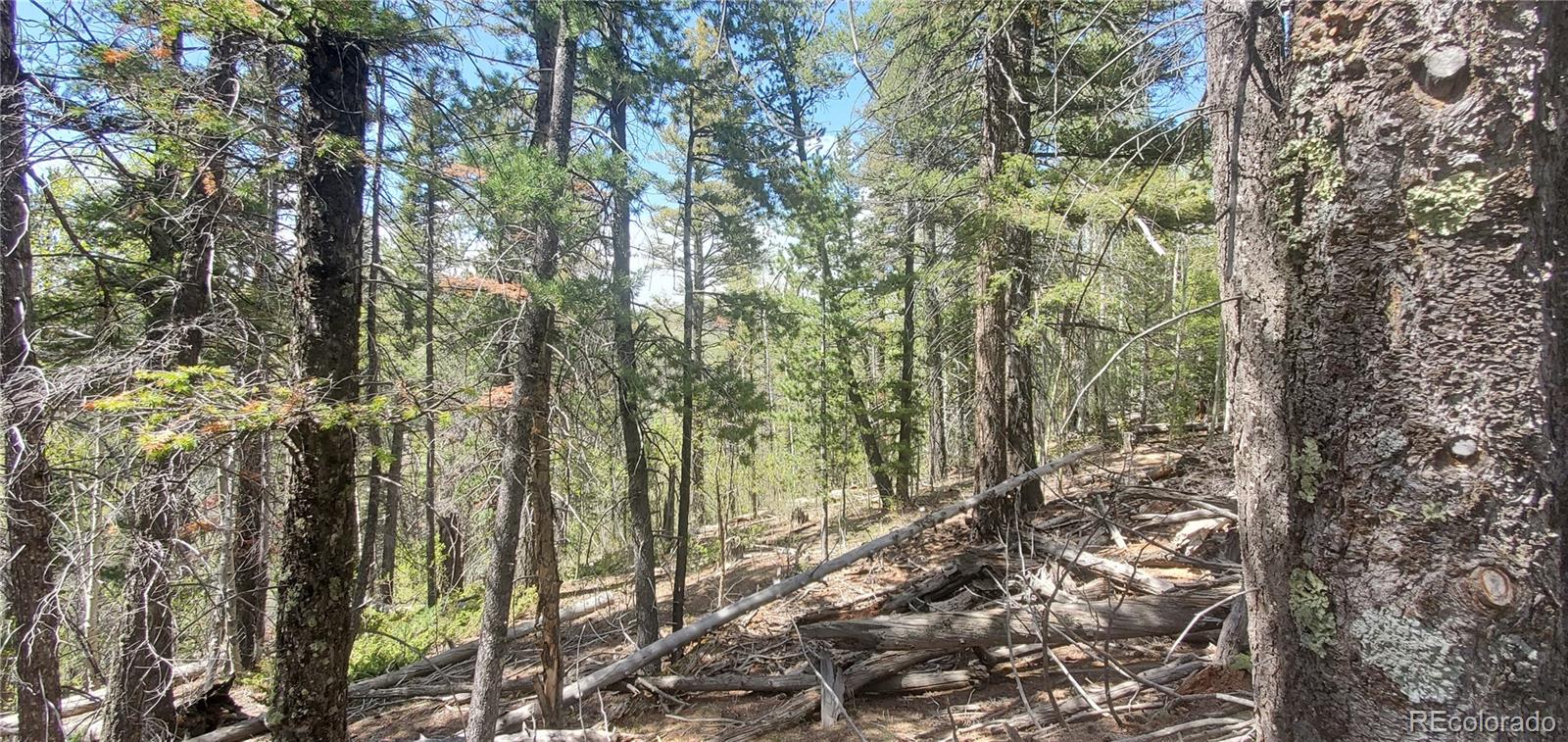 Lot 6764 Kerrigan Road