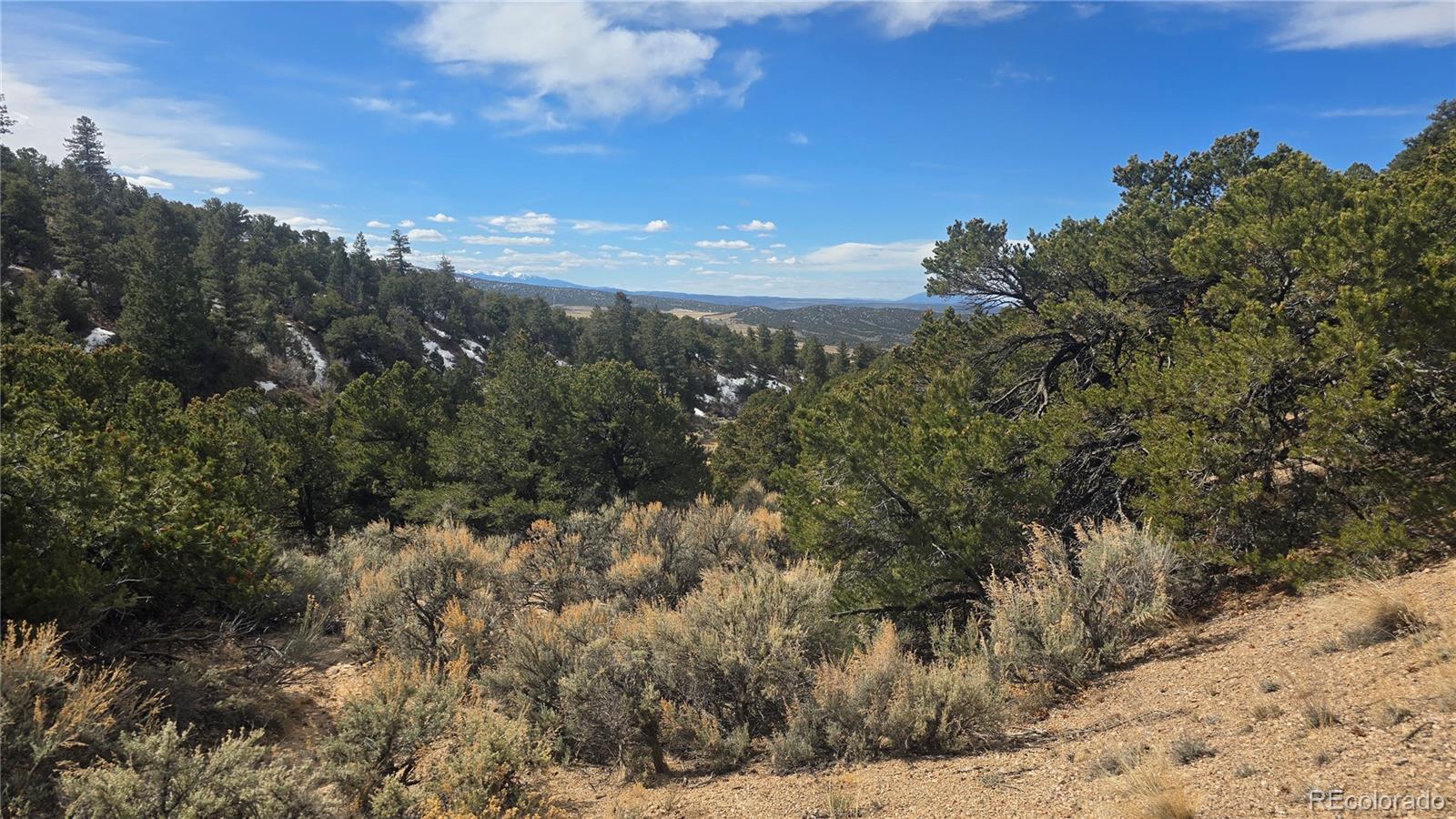 Lot 1628 Hidalgo Road