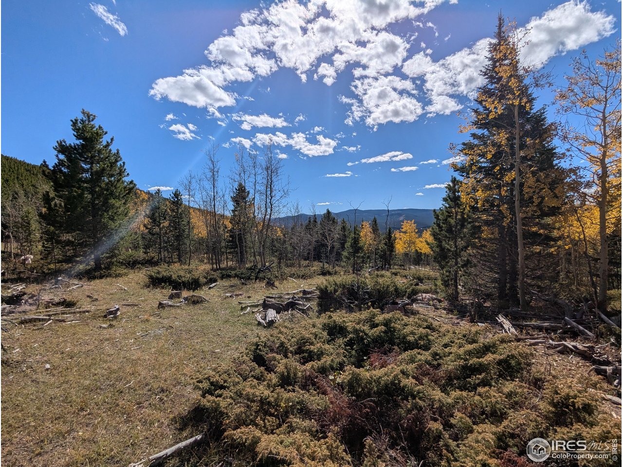 2 SIDES NATIONAL FOREST, 40 acres of remote mountain land with Roosevelt National Forest on two sides, Just 10 miles northwest of Red Feather Lakes Village and a world apart from the city, The land is coved in pine and fir trees with meadows with a mountain spring were the aspen trees and willows grow. The mountain spring water brings in the game, Wildlife abounds here - Deer, moose, elk, bear and more have all been seen around here. Good access road to the property, behind locked gate for privacy, There is a hiking trail onto the forest service lands, No covenants, No HOA-Do what you want here, But there is a road access agreement with road dues so you can get there year around, Power is available and cell phones work here, Build yourself a hunting cabin or a mountain mansion as a retreat sanctuary. Call for maps and additional information