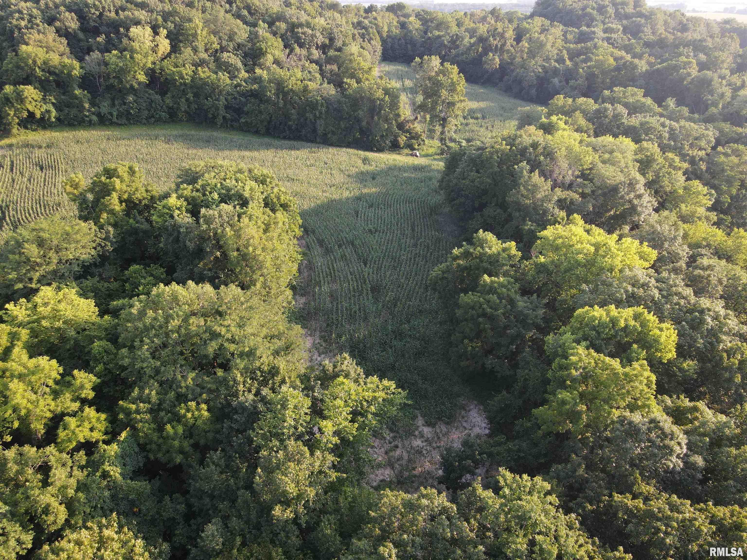 30079 Ambrosia Hollow Road