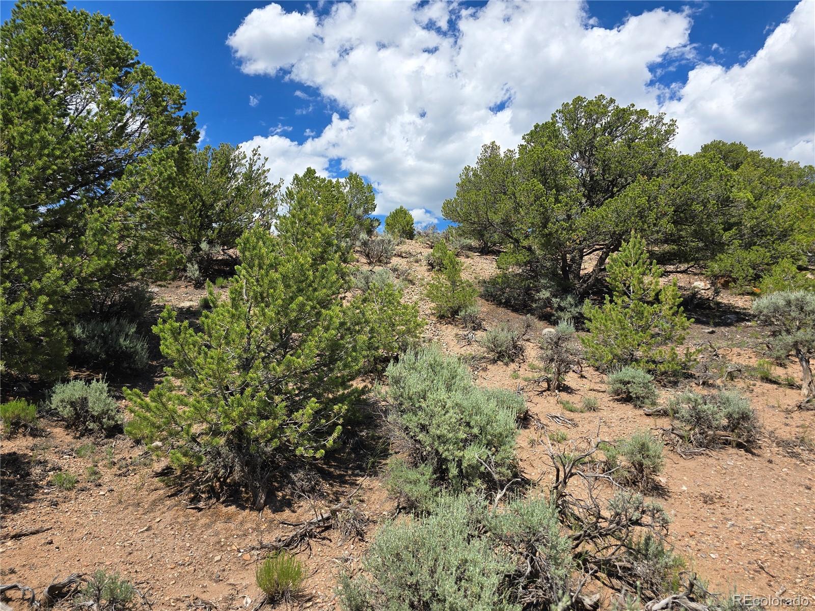 7572 Dashiell Road