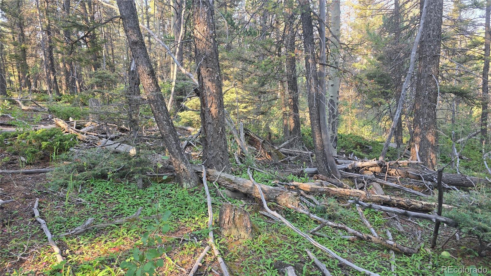 Lot 5768 Clawson Road