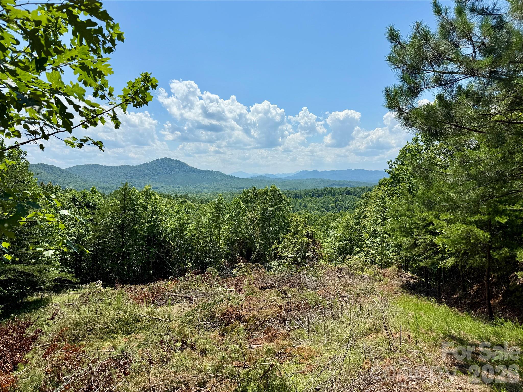 V/L Summit Trail 82