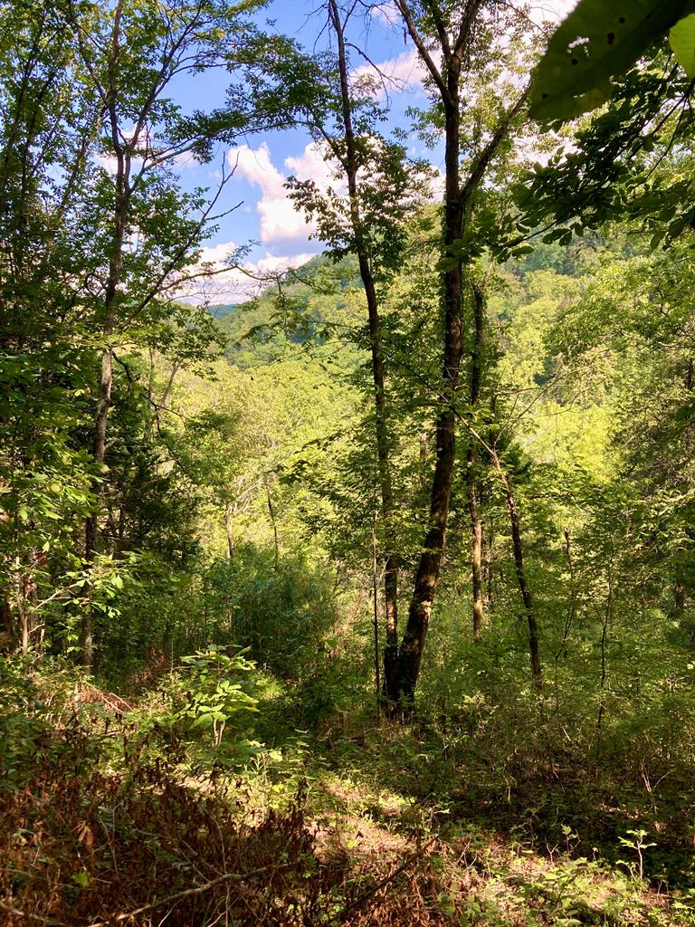 392 Possum Hollow Rd