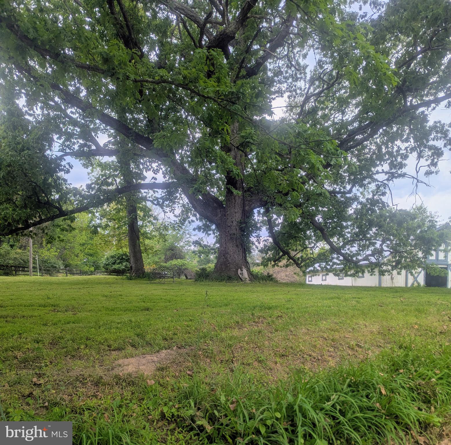 This charming farmhouse-style residence offers a unique opportunity to own a small farm in Loudoun Co, perfect for those seeking a tranquil retreat or private farm.  With its picturesque setting, the property boasts panoramic views of lush pastures and scenic vistas, inviting you to unwind and embrace the beauty of nature.  The farmland behind is in conservation easement, which gives you more privacy and uninterrupted views. The exterior of the home features a delightful combination of stucco and vinyl siding, exuding a timeless appeal. A wrap-around porch beckons you to enjoy morning coffee or evening sunsets while surrounded by the serene countryside and your horses. The property is thoughtfully designed for equestrian enthusiasts, complete with horse amenities that include a 6 stall stable, paddocks, and a run-in shed.  A prime location, smack dab in the middle of horse country, and an easy drive to 3 different foxhunts. Inside, the home offers 1,396 square feet of cozy living space, featuring three inviting bedrooms and one and a half bathrooms. The layout is perfect for both relaxation and entertaining, with ample natural light flooding through the windows, creating a warm and inviting atmosphere. This idyllic setting provides the perfect backdrop for outdoor activities, whether it's riding horses, gardening, or simply enjoying the tranquility of rural living. The property is a true paradise with endless possibilities, from creating your own hunt box to establishing a serene garden oasis. With no association fees or restrictions, you have the freedom to personalize your lifestyle in this exclusive haven and the opportunity to embrace a luxurious yet grounded lifestyle.  This property is not just a home; it's a lifestyle choice that invites you to experience the joys of country living. Pictures coming soon.