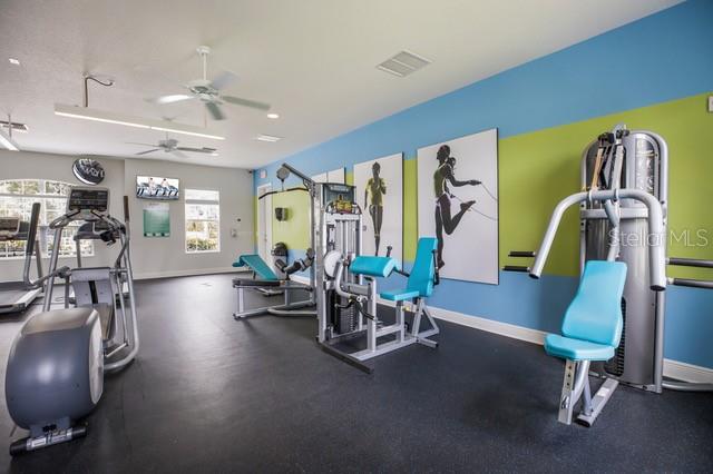 10914 Blue Magnolia Lane