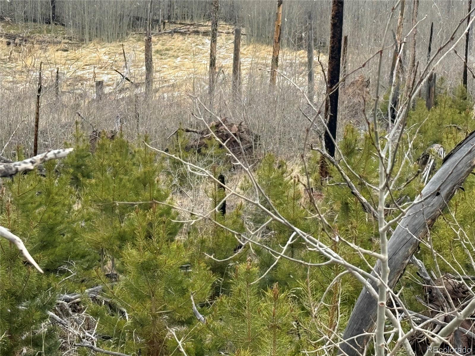 Lot 1960 Hilda Lane
