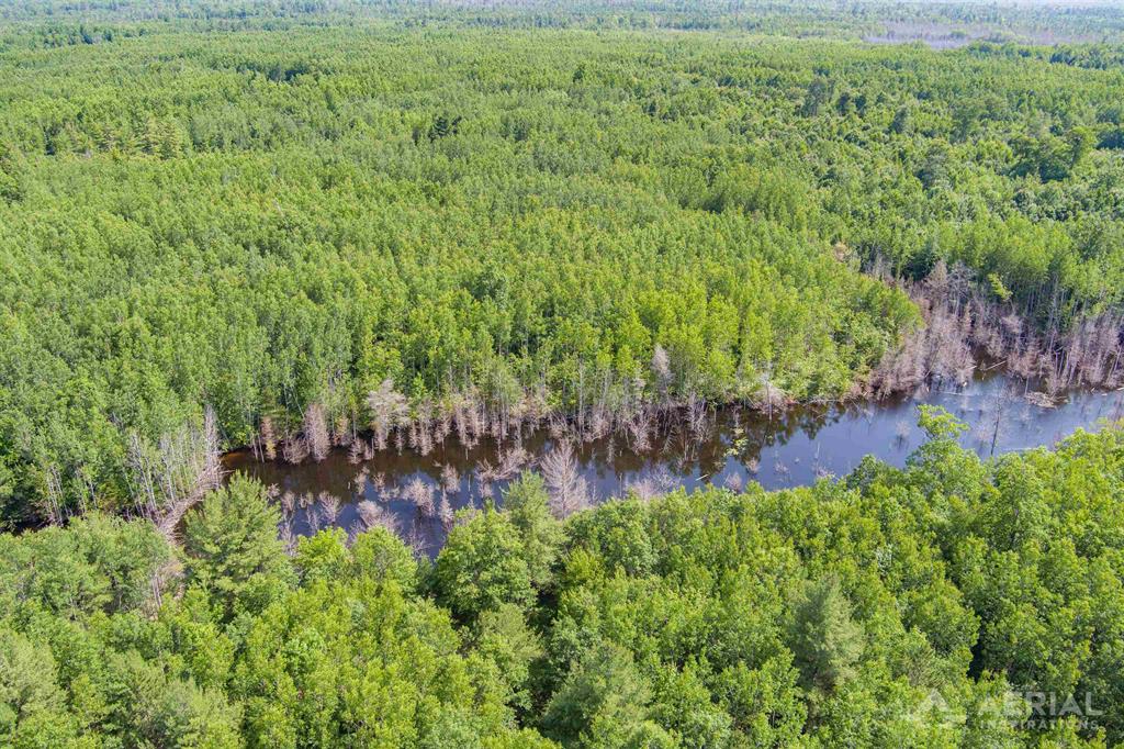 Whether you're in the market for hunting land or investment property this ownership is worth a close look!! About half the property is well drained sandy soils growing aspen, oak, soft maple, and a smattering of conifer species. The other half is lowland conifer growing cedar, hemlock, balsam fir and providing excellent thermal cover for white-tailed deer and other game and non-game species alike. The proximately to US 23 and Lake Huron just take it over the top!!