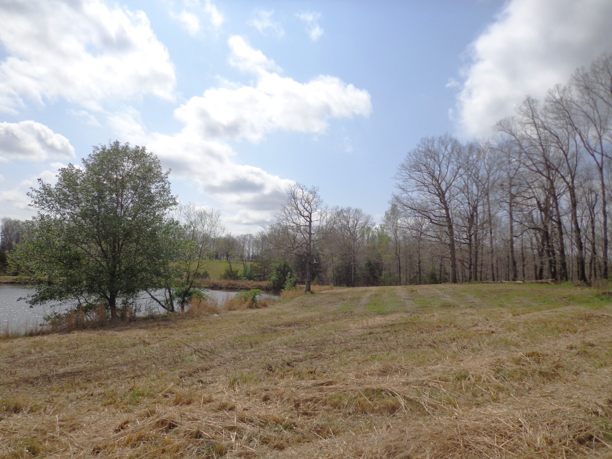 1551 Tennessee Ridge Road
