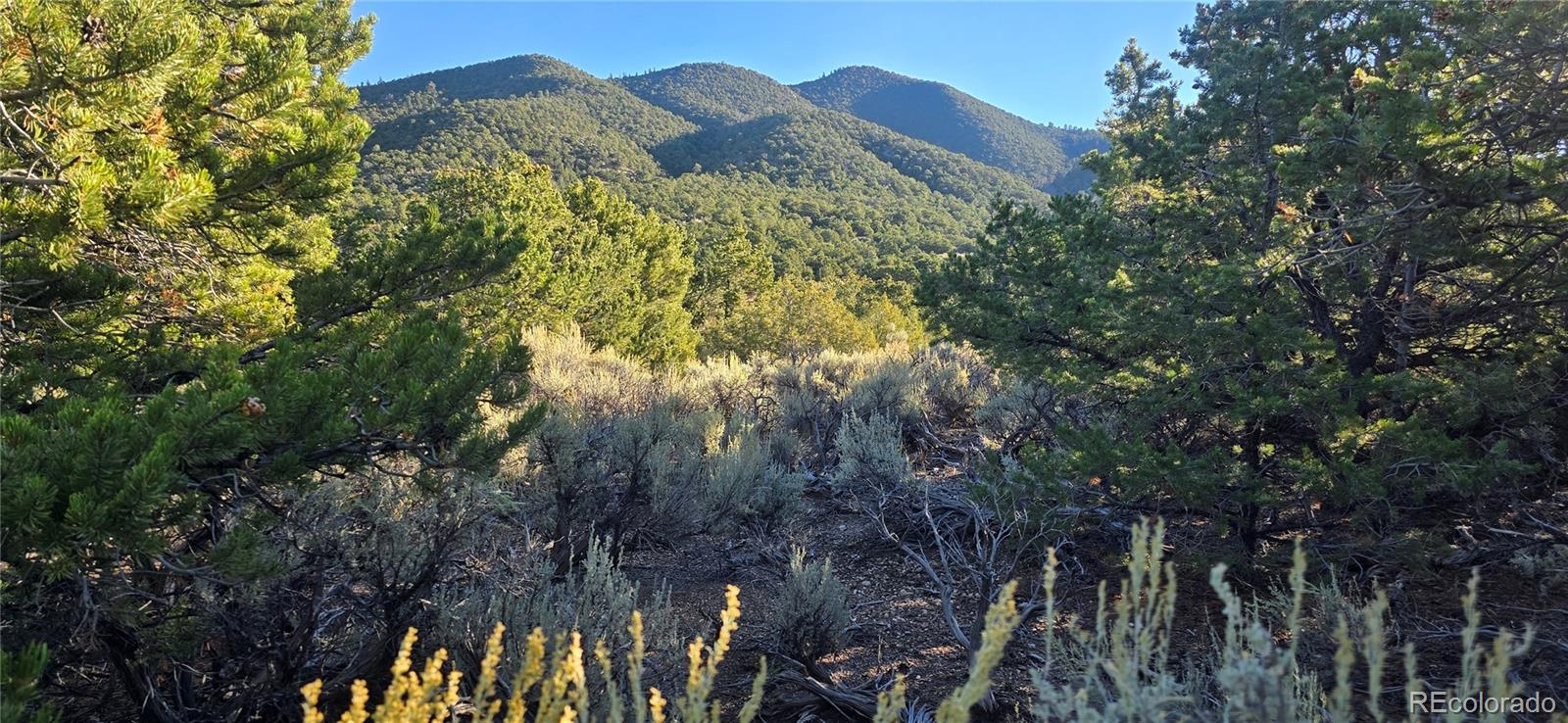 Lot 1361 Dunn Road