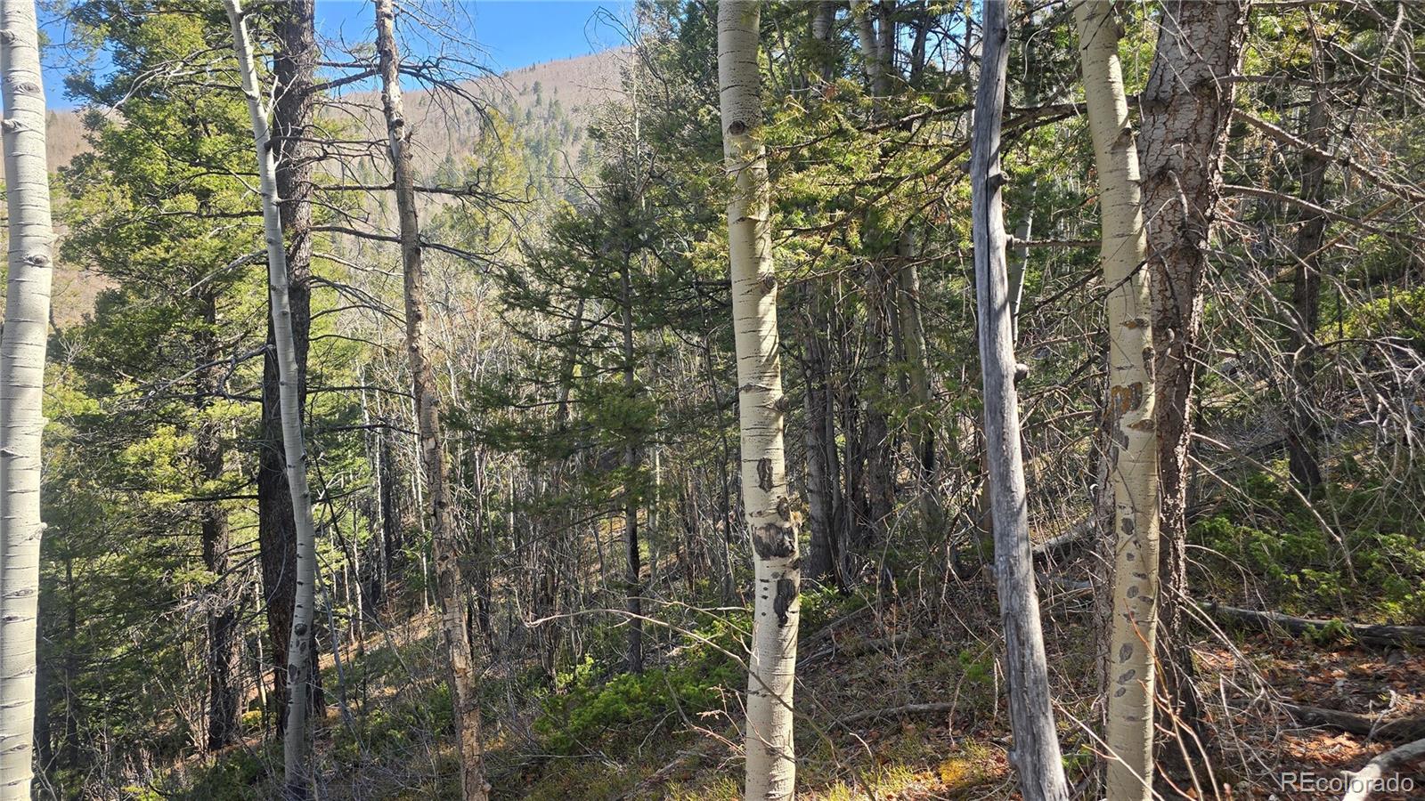 Lot 6708 Debbie Road
