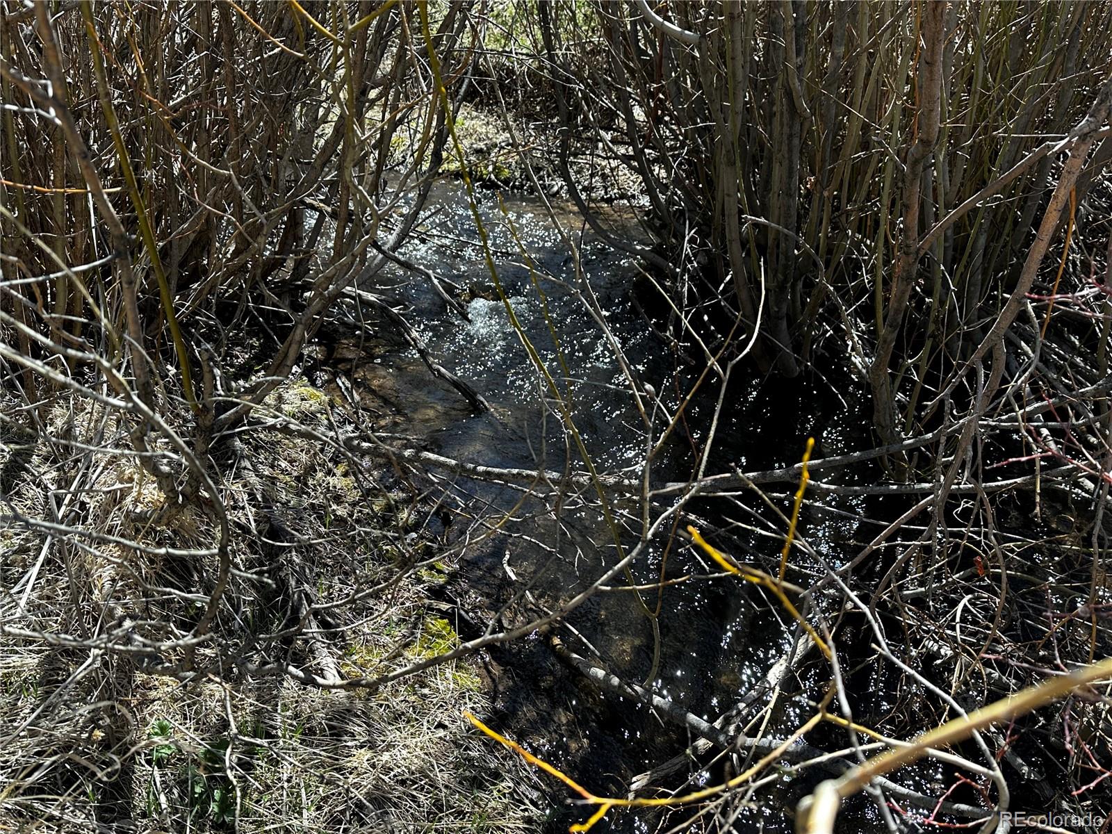 Lot 223 Hwy 160