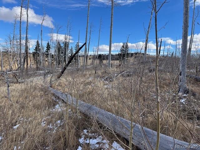 Lot 2397 Petito Drive