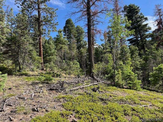 Lot 5757 Balleroy Road