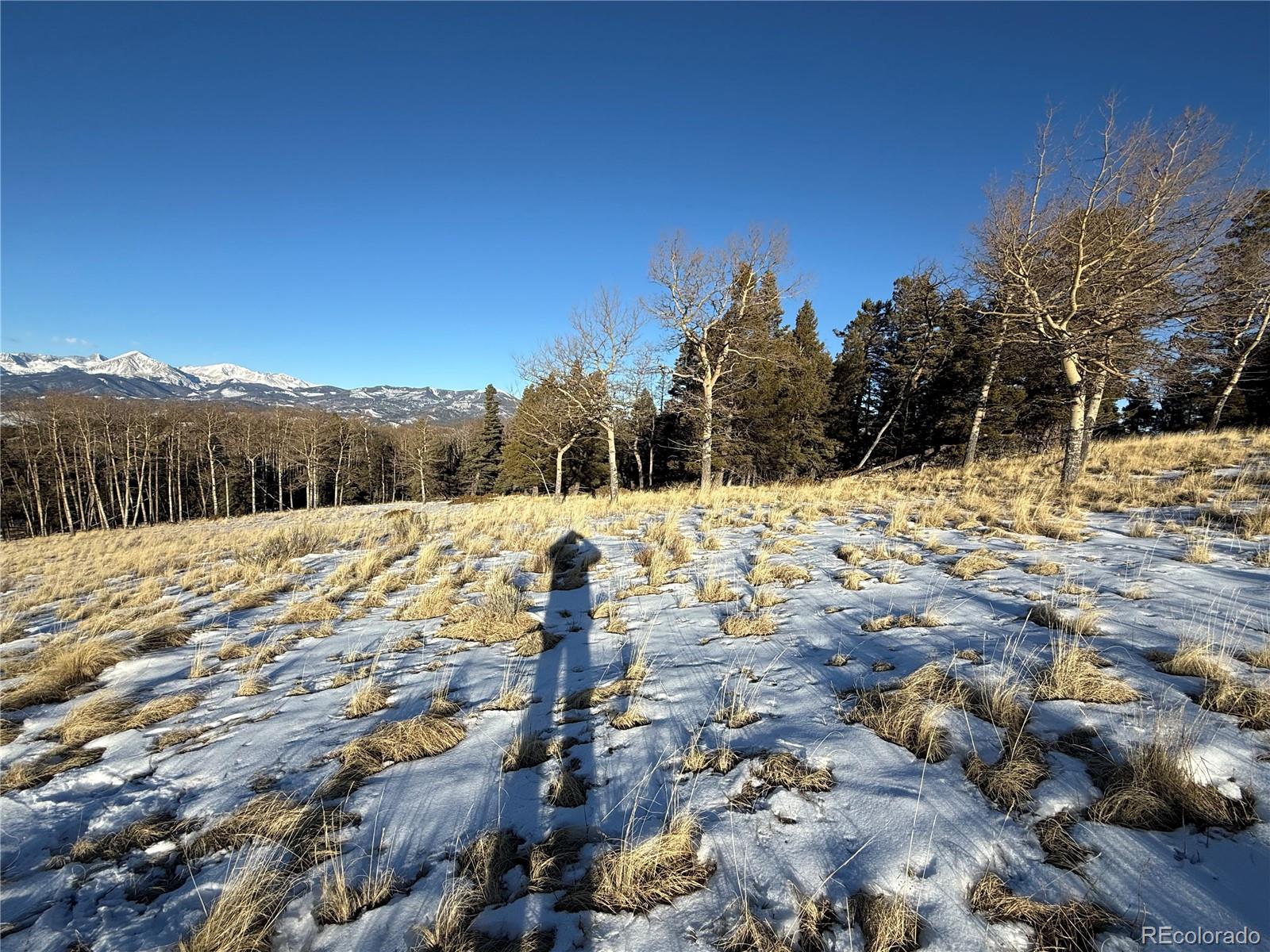 Lot 499 Collinson Drive