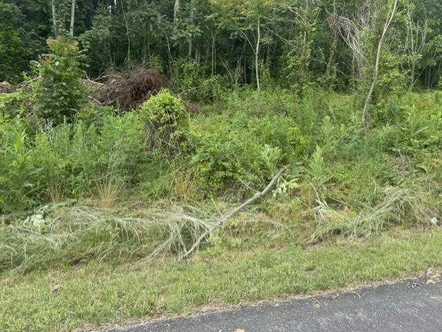 4 lots located in the desirable Whispering Pines Subdivision combined together to provide a lot for your dream home.
