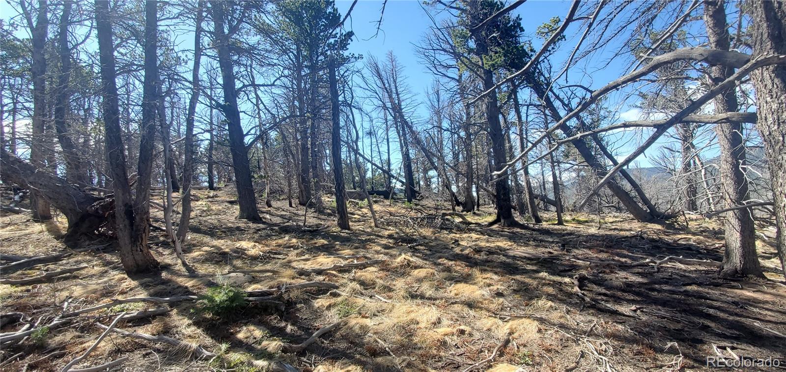 Lot 2739 Newman Place