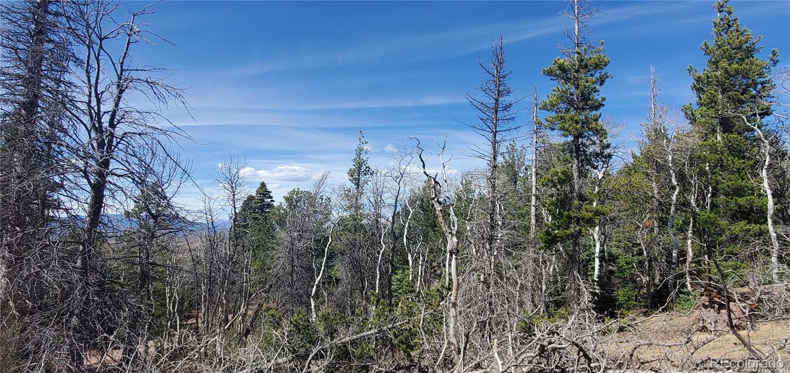 Lot 2560 Grojean Drive