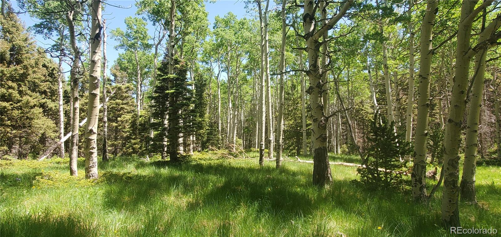 Lot 3085 Henderson Lane
