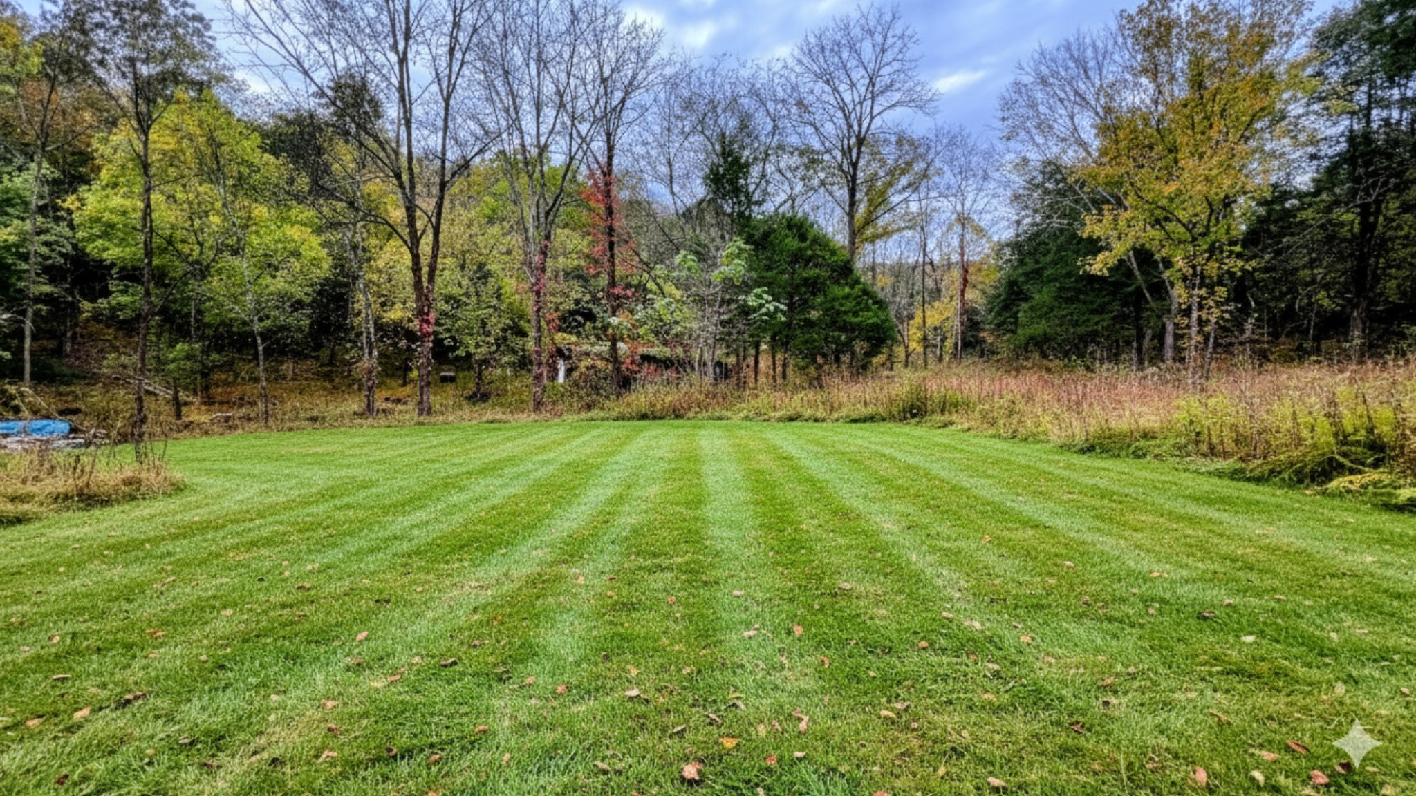 441 Pumpkin Hollow Rd