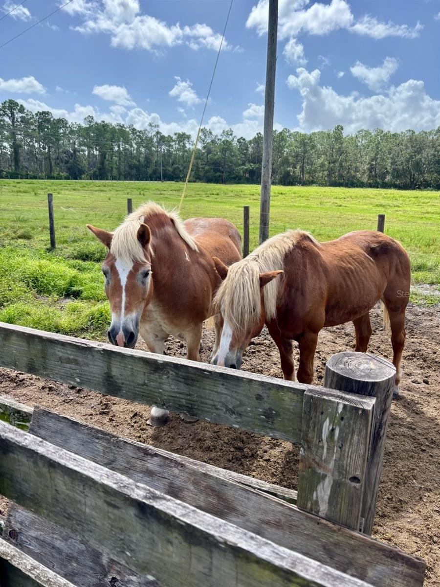 1126 & 1144 County Road 665