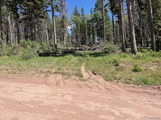 Lot 2449 Petito Drive