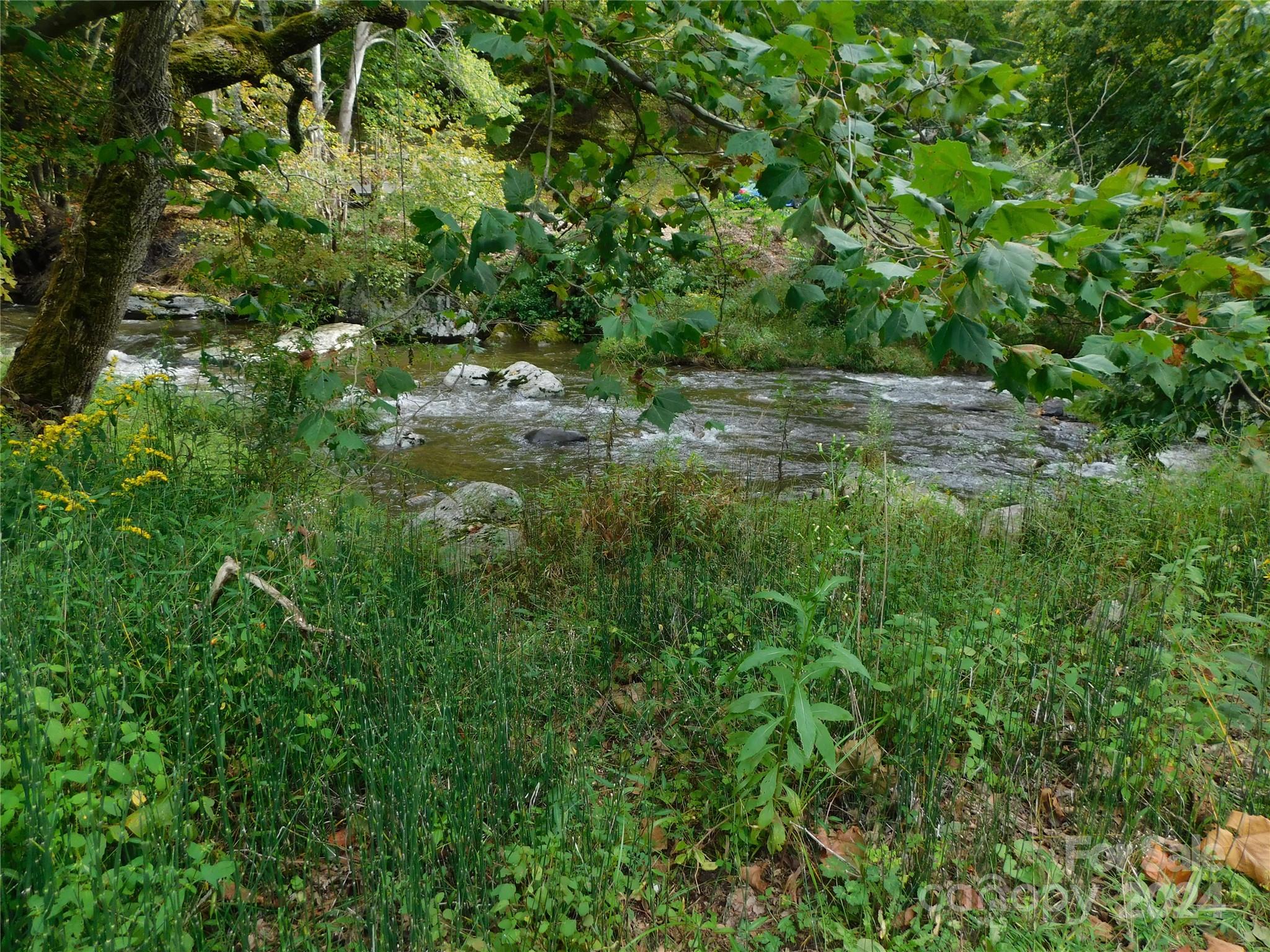 3206 Fork Mountain Road