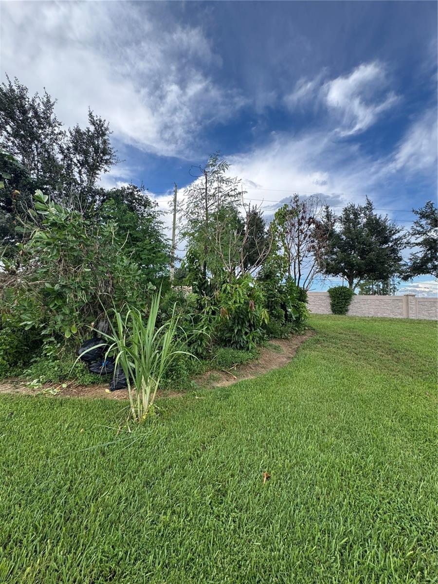3538 Heart Pine Loop