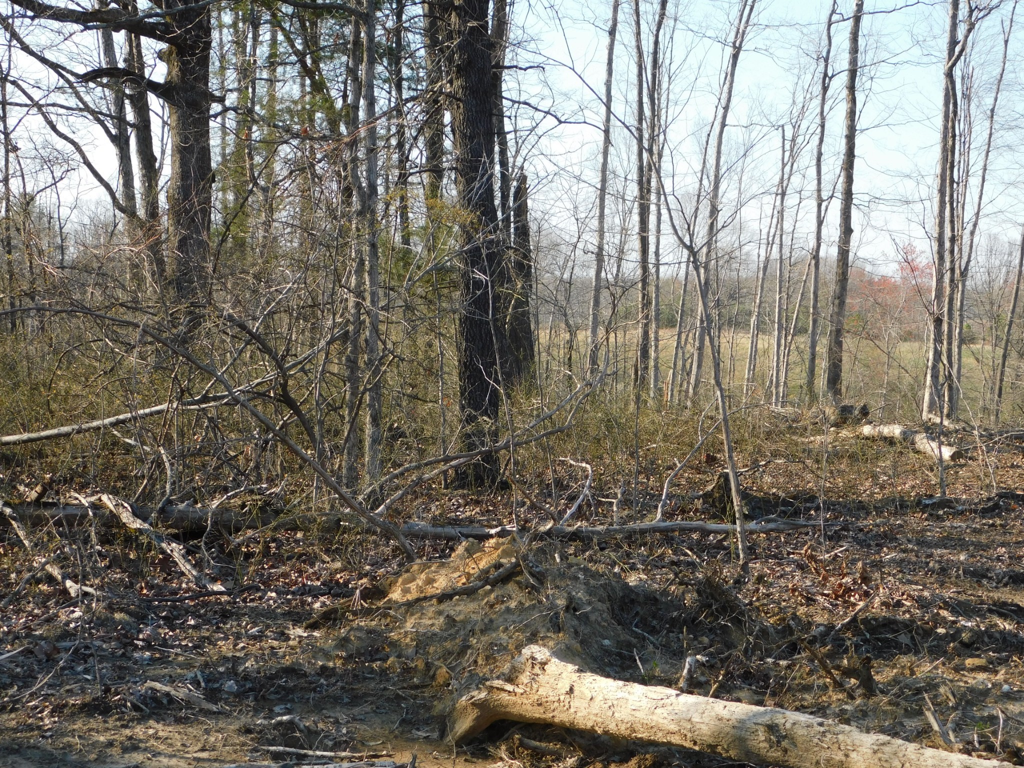 0 Lucas Ridge Road