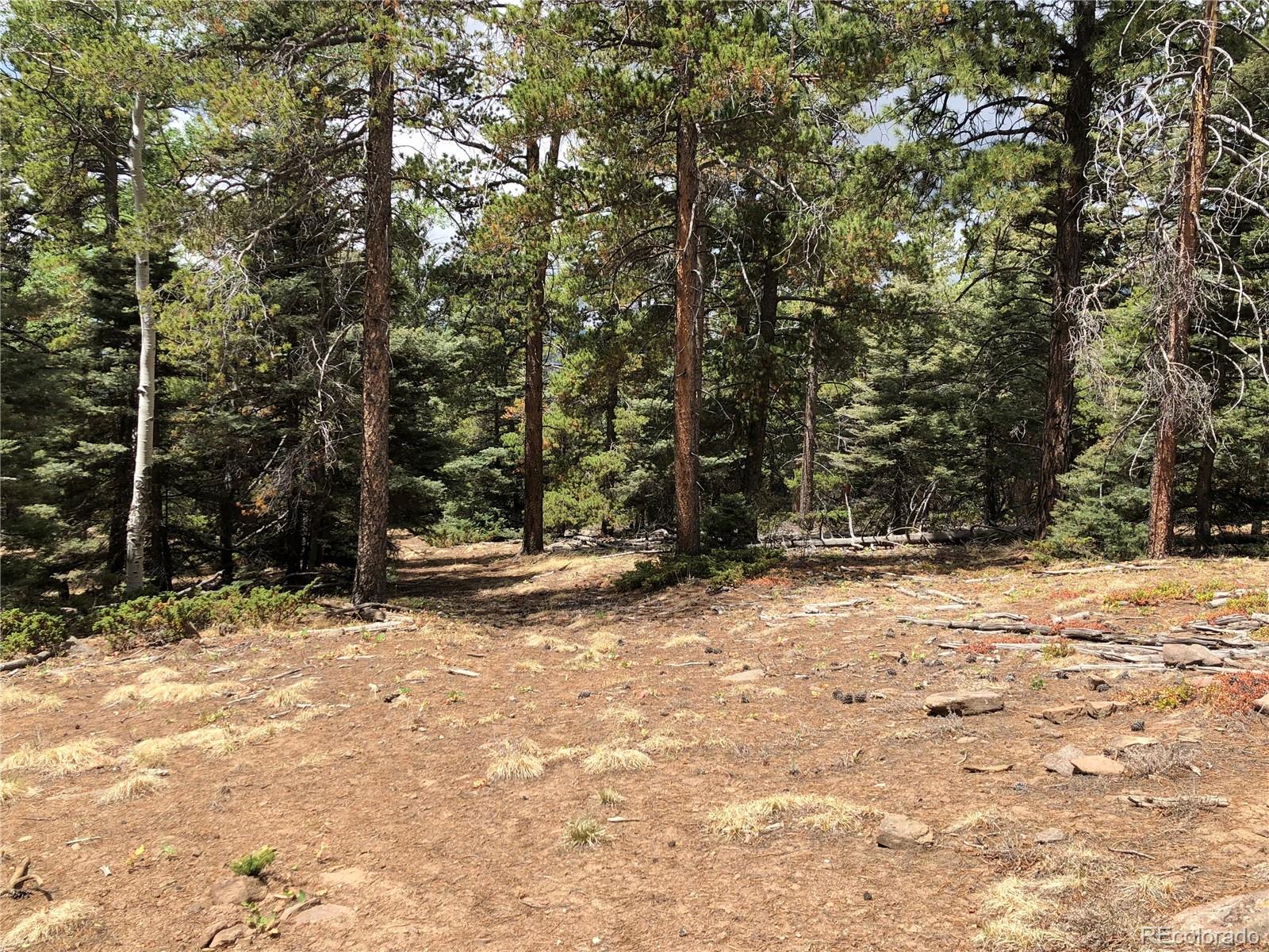 Lot 174 Ferris Place