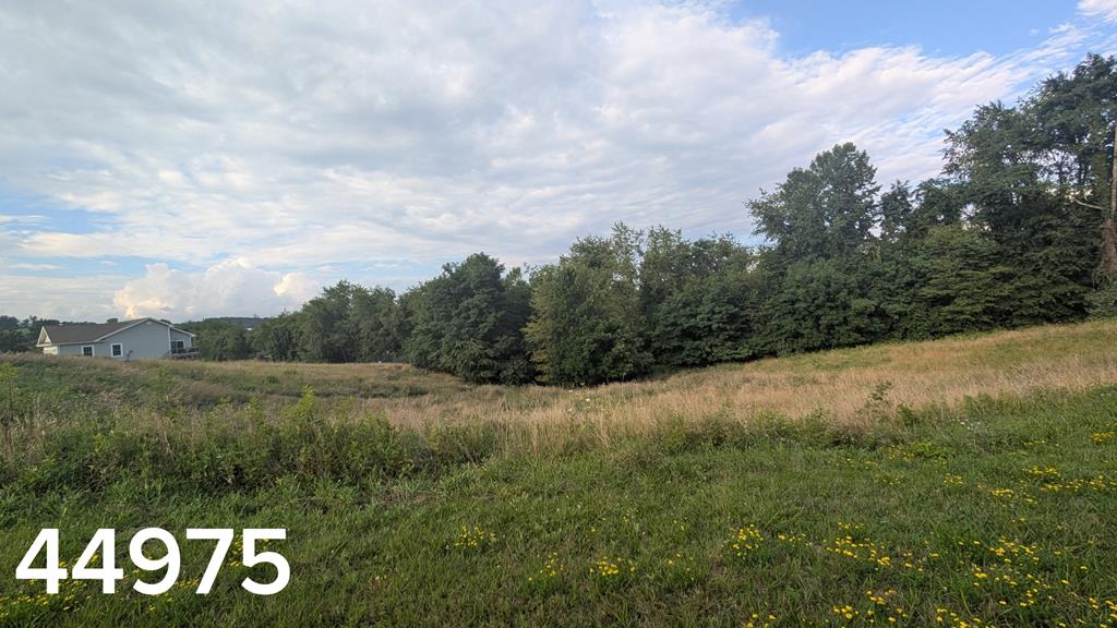 Discover the opportunity to build your dream home in Old Trail Village, a desirable neighborhood conveniently located near the Town of Abingdon. These beautiful building lots offer a peaceful setting with a mix of cleared and wooded landscapes, while still providing easy access to shopping, dining, outdoor recreation, and Interstate 81. Enjoy the convenience of available underground utilities, including public water, sewer, and electric, along with paved county road access. Located in the highly sought-after Abingdon area, Old Trail Village offers the perfect blend of privacy and accessibility. Whether you are looking to build your forever home or invest in property, these lots provide an excellent opportunity to become part of this growing community.