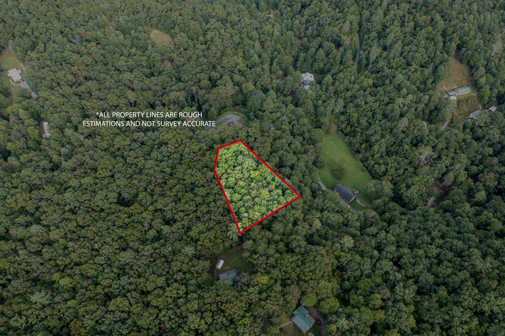 Enjoy the peace and quiet of mountain living on this .96-acre lot. Located in a relaxed subdivision with minimal restrictions, this property offers the flexibility to build your dream cabin—big or small. Whether you're looking for a simple getaway or a full-time residence, this easy-access lot provides the perfect canvas.