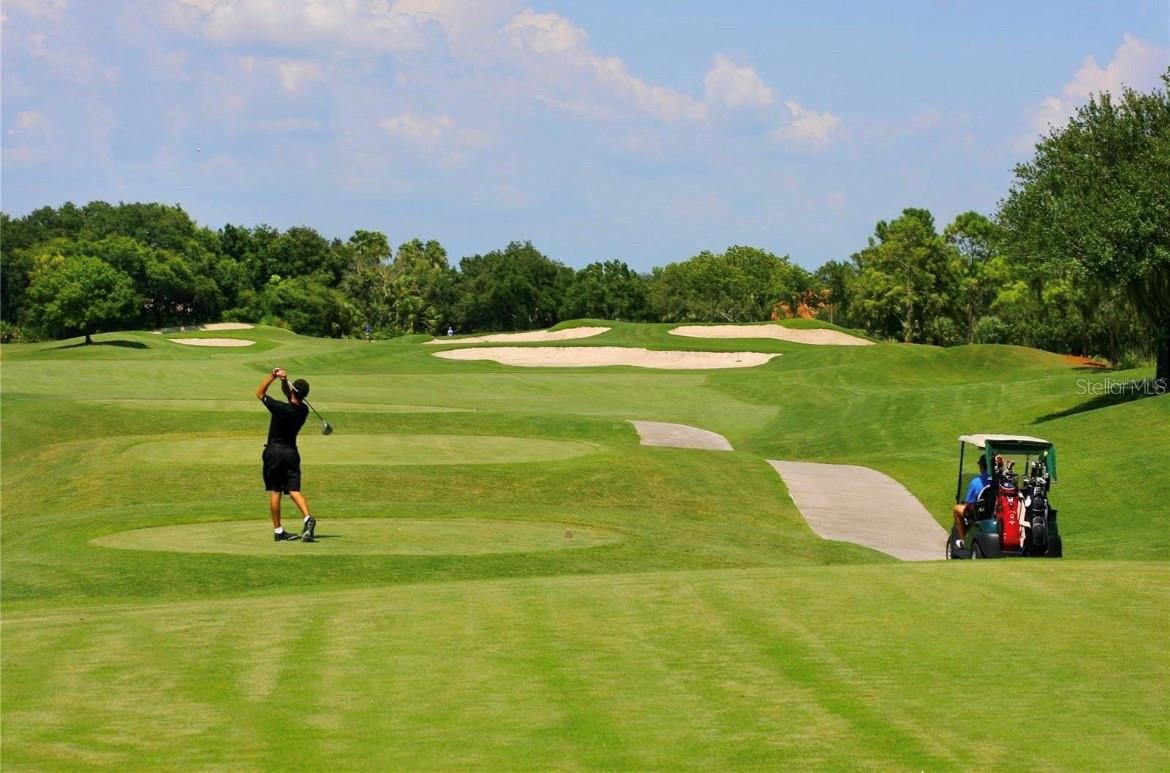 6470 Willowshire Way