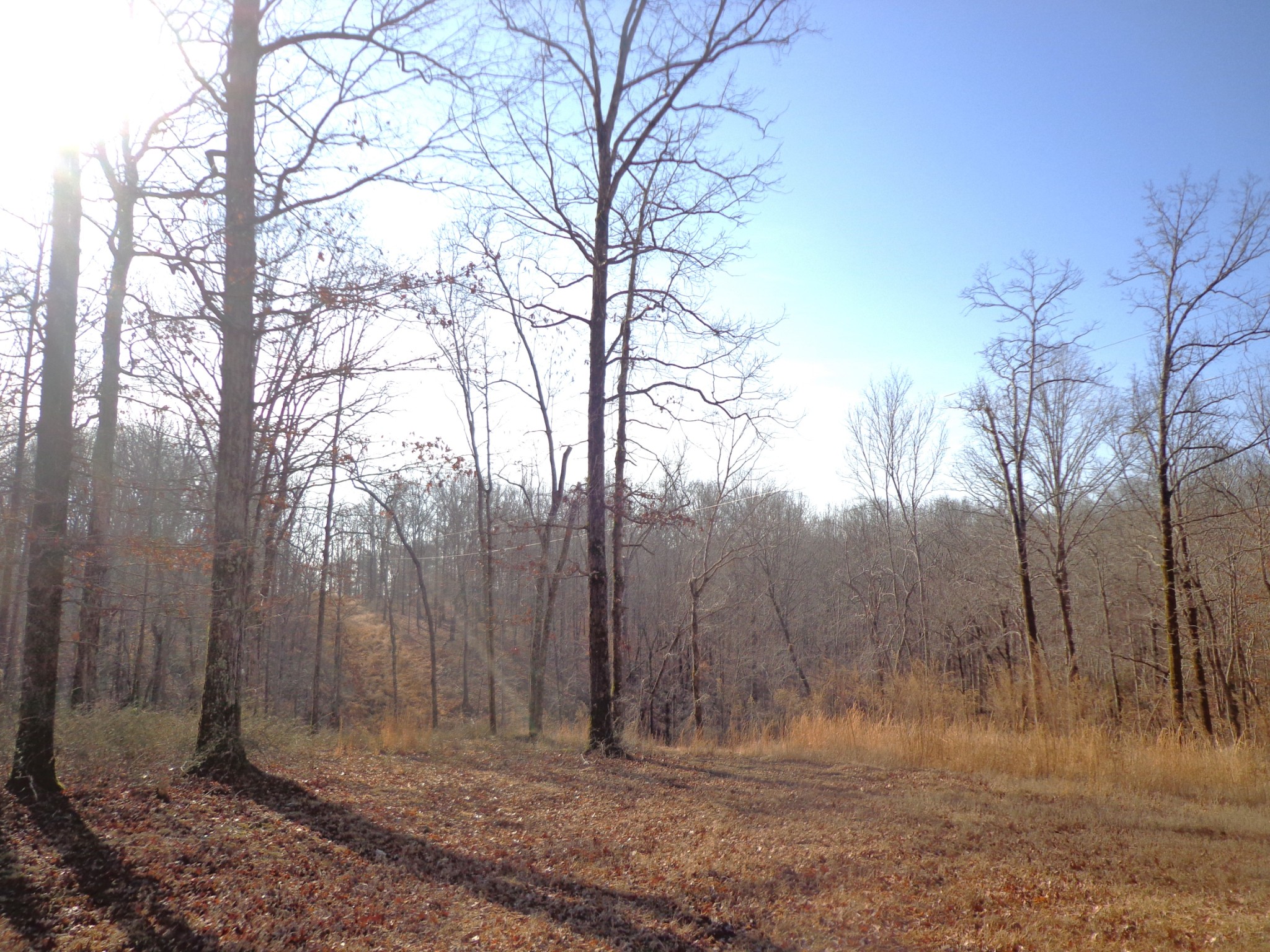 0 Deer Grass Ln