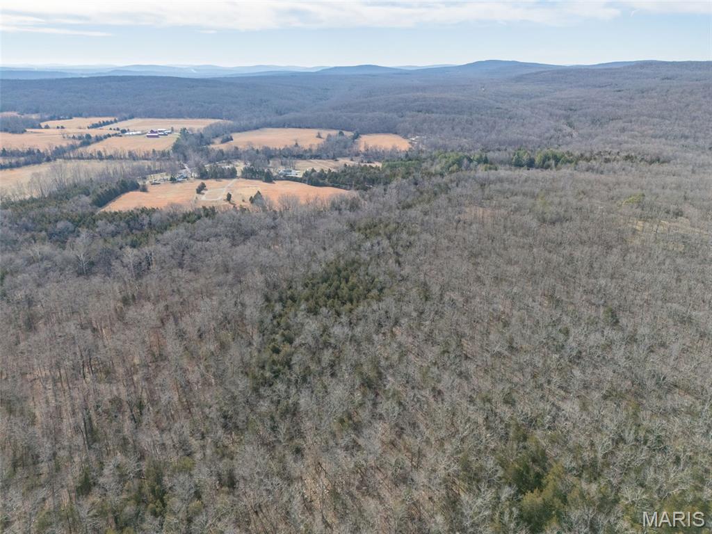 12.5+/- Acres On Effin Road