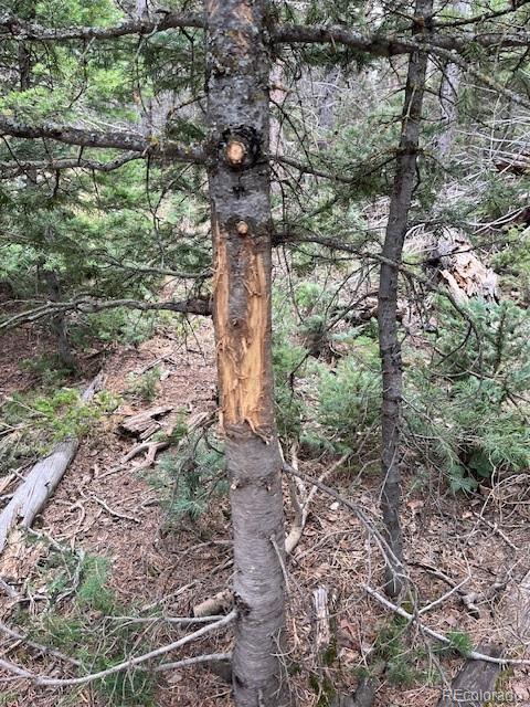Lot 3091 Sterenson Place
