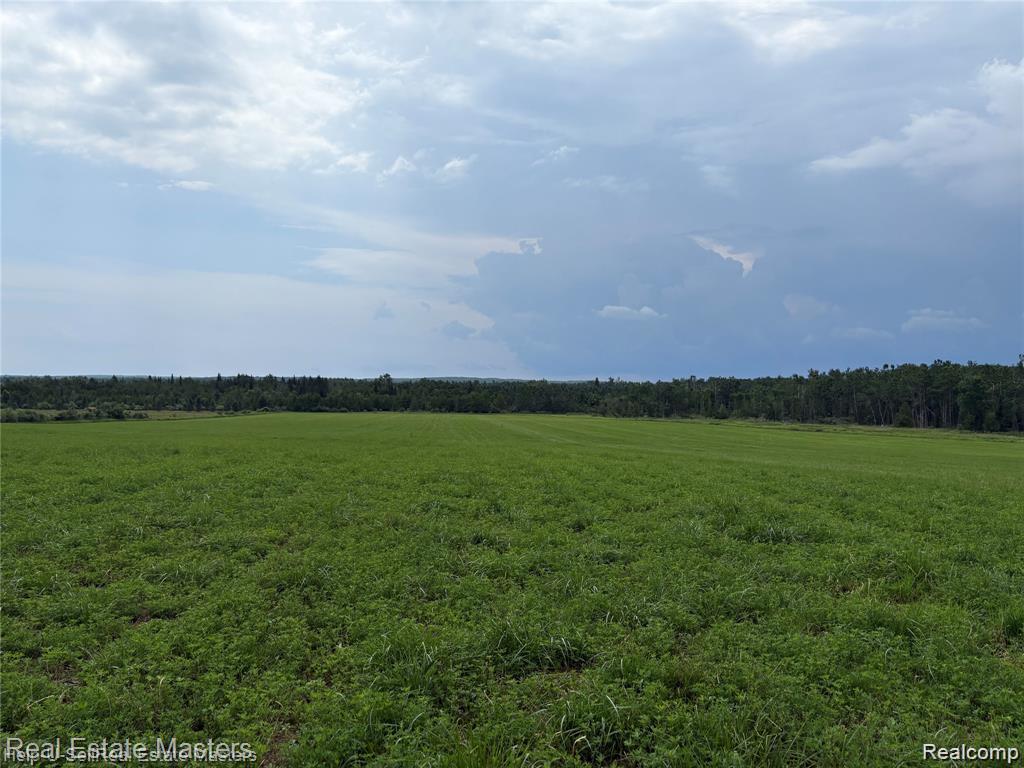 Discover year-round adventure on this breathtaking peninsula property, near the stunning shoreline of Hubbard Lake. Set on nearly 90 picturesque acres, ponds, and paved road access—all just minutes from local shopping and amenities.  Whether you're seeking a serene retreat or a recreational paradise, this property offers endless potential. Come experience your own slice of paradise!