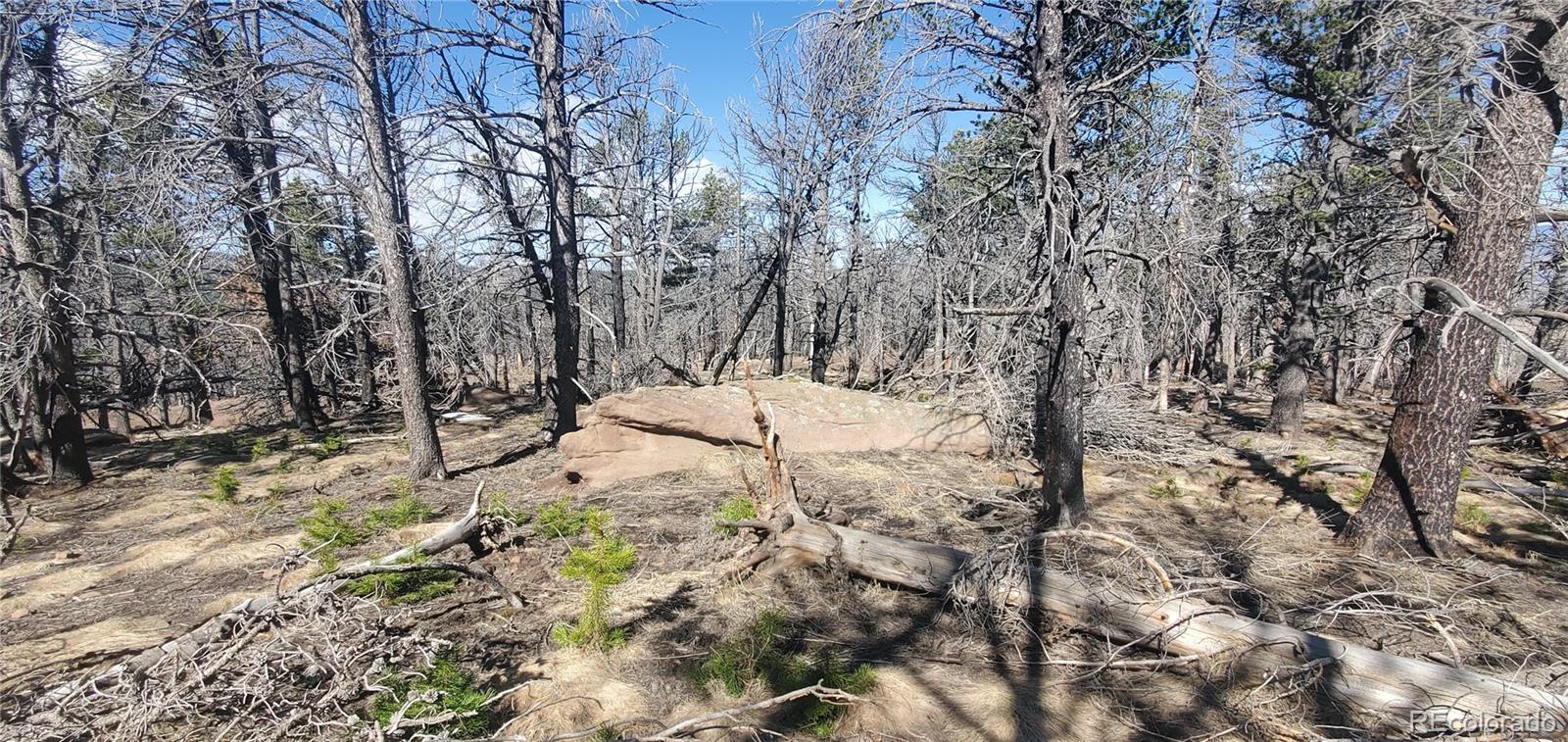 Lot 2739 Newman Place