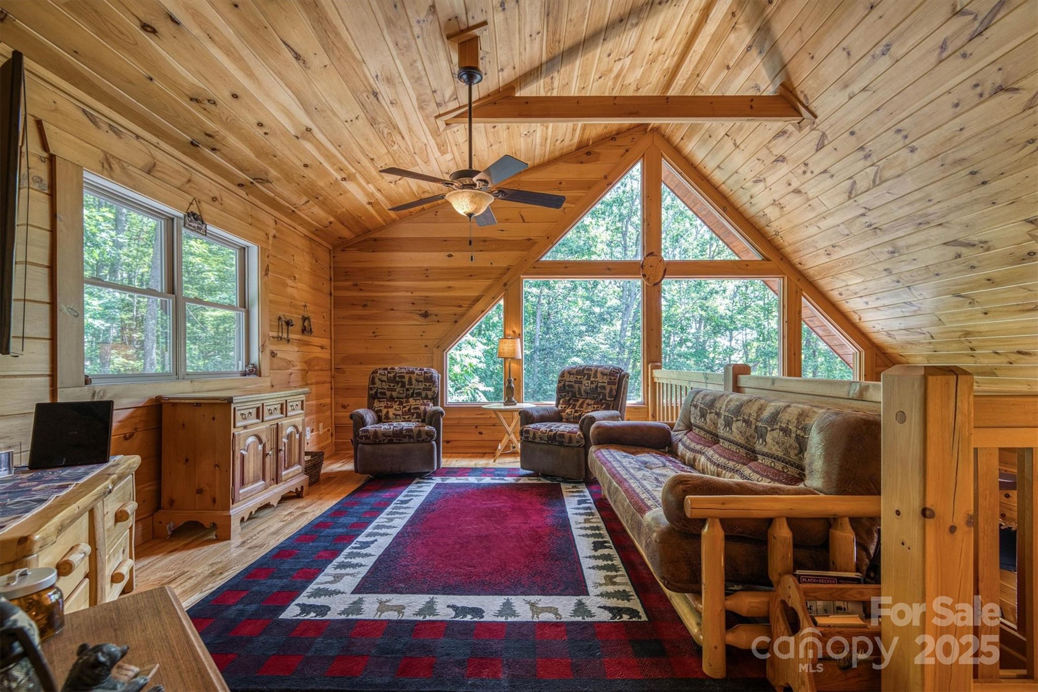 203 Mountain Vista Drive