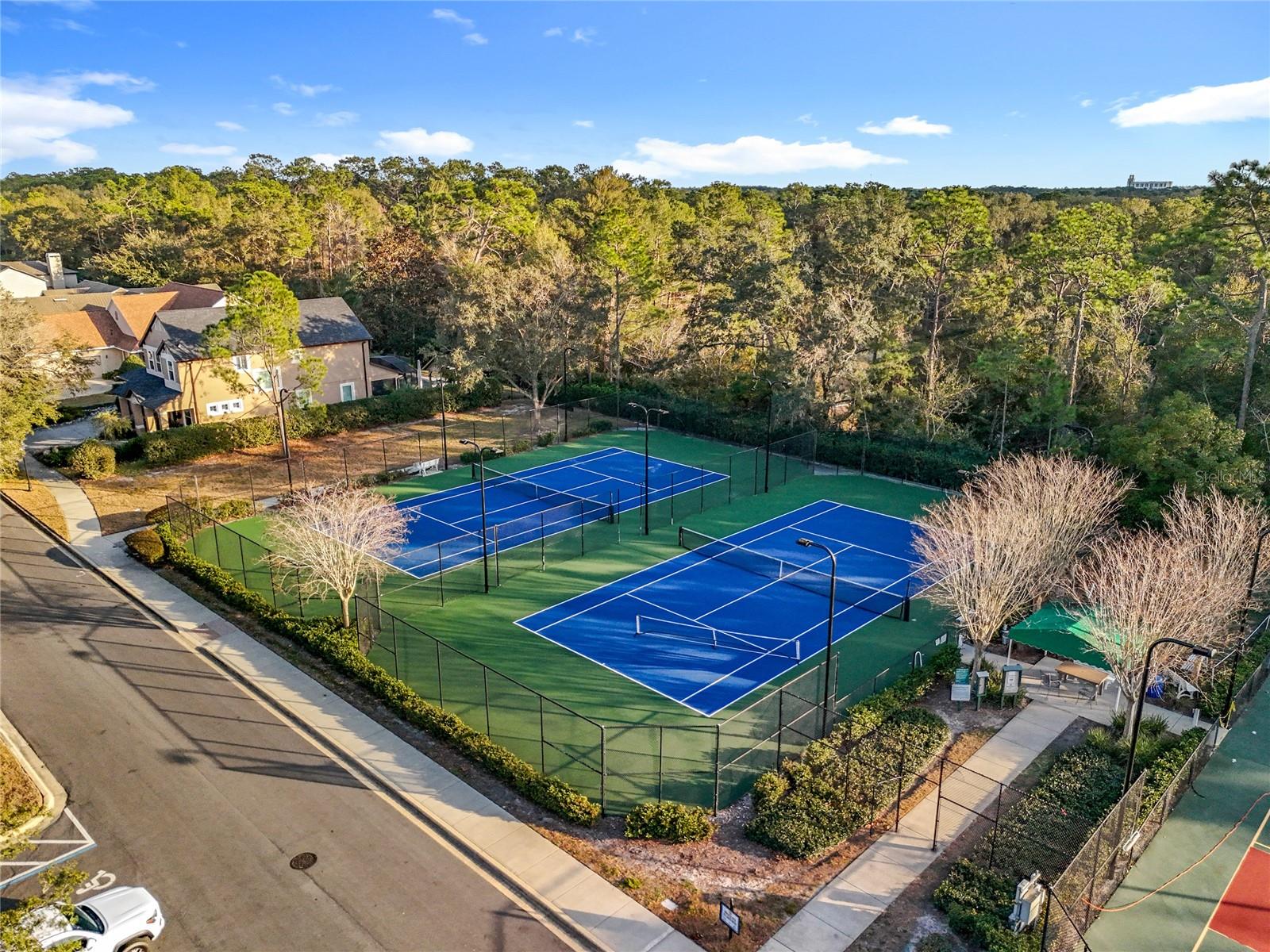 295 Northcote Court