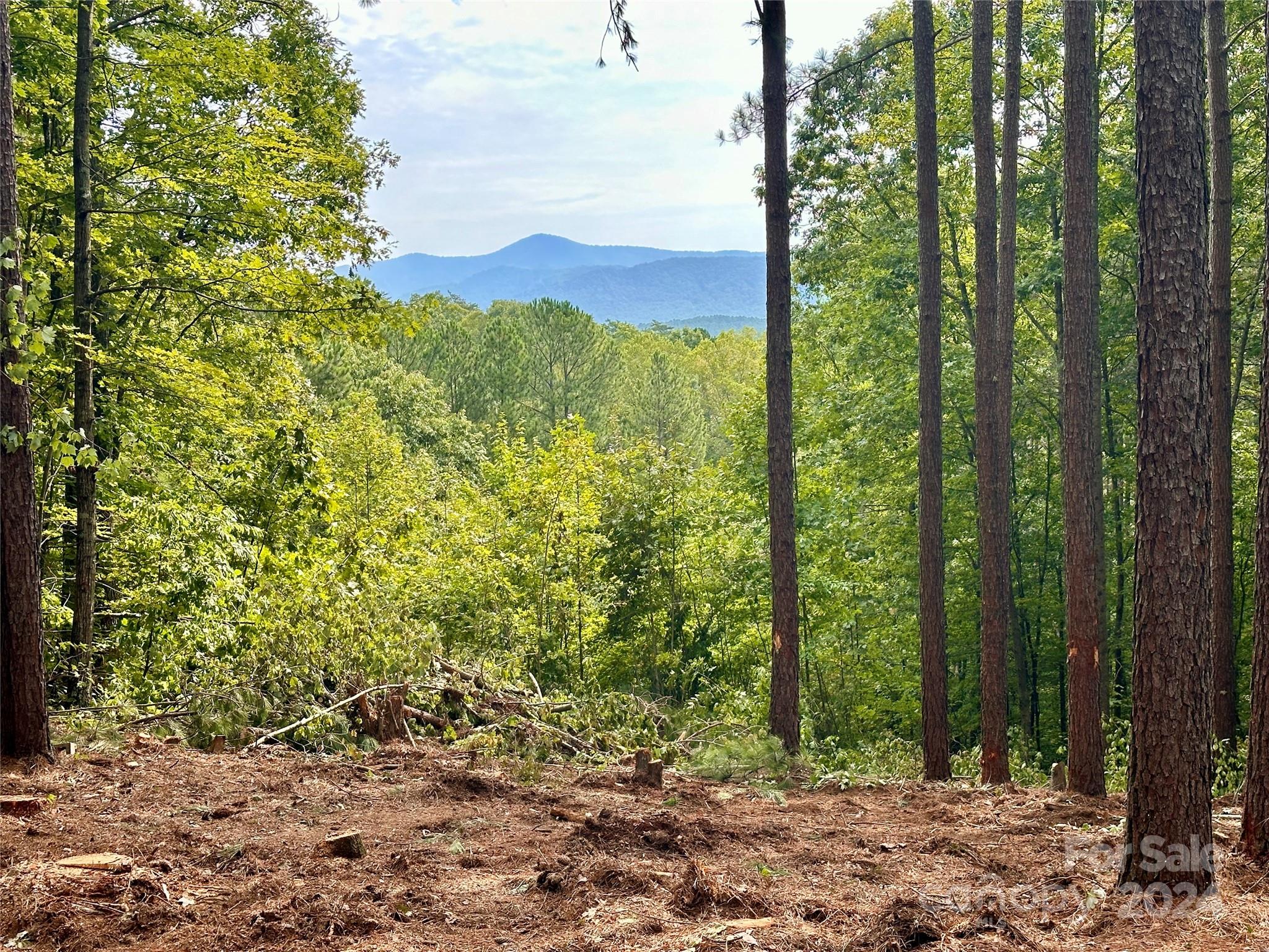 67 Dunn Trail 9