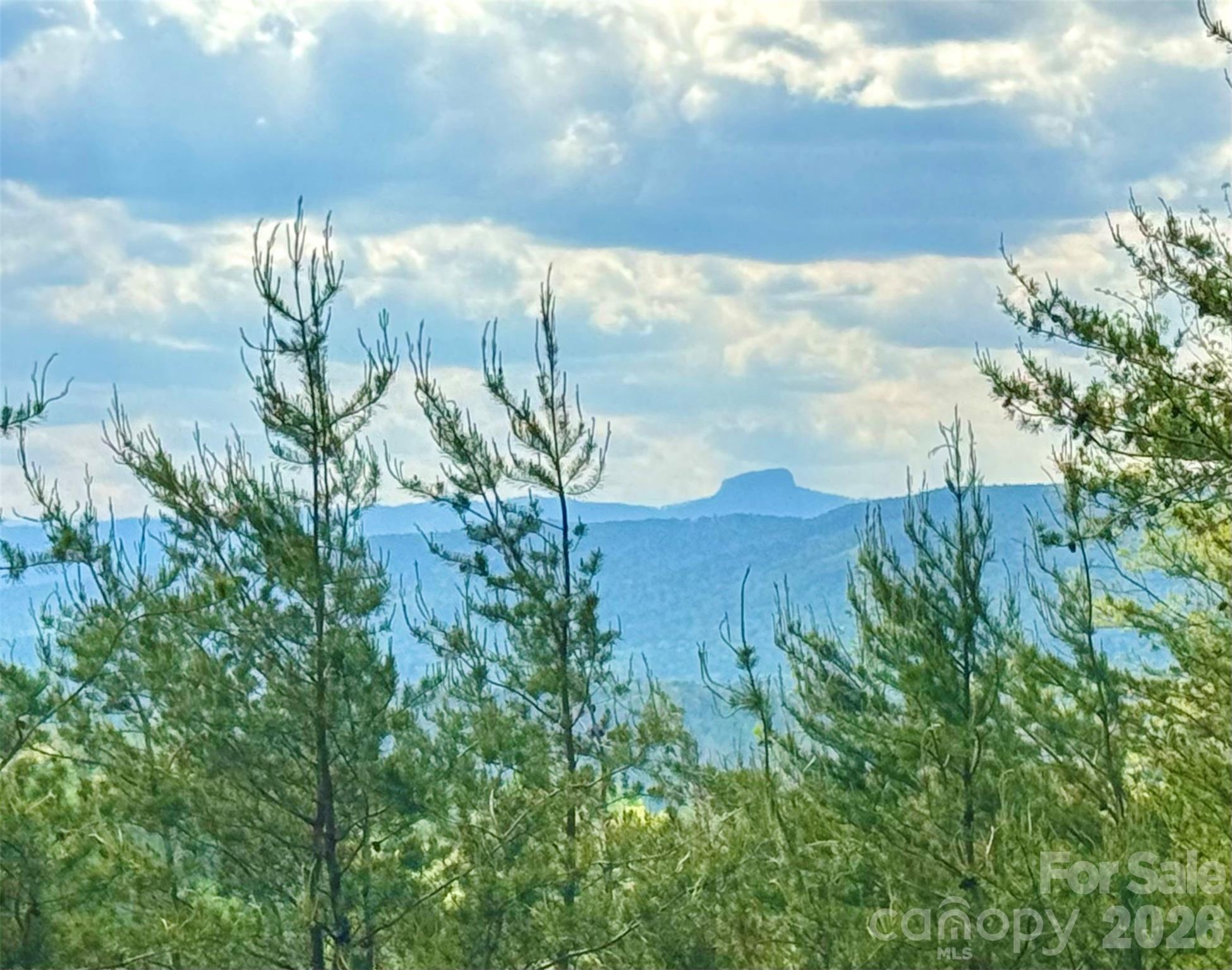 Lot 161/162 Rocky Falls Lane 161/162