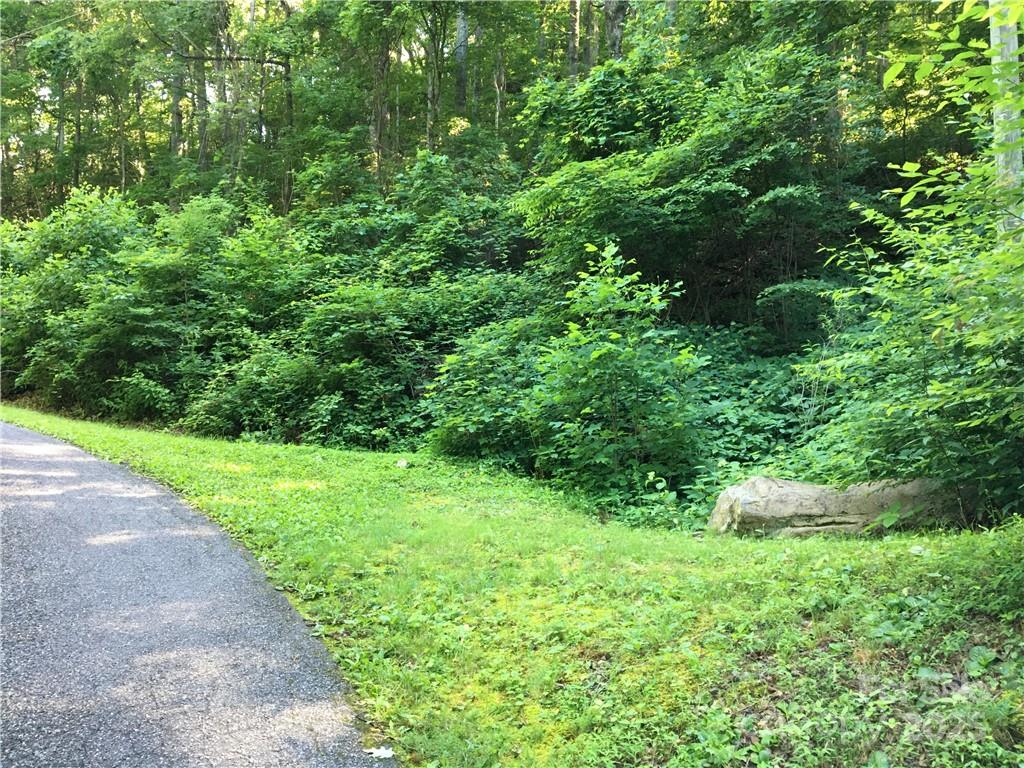 TBD Red Oak Forest Road