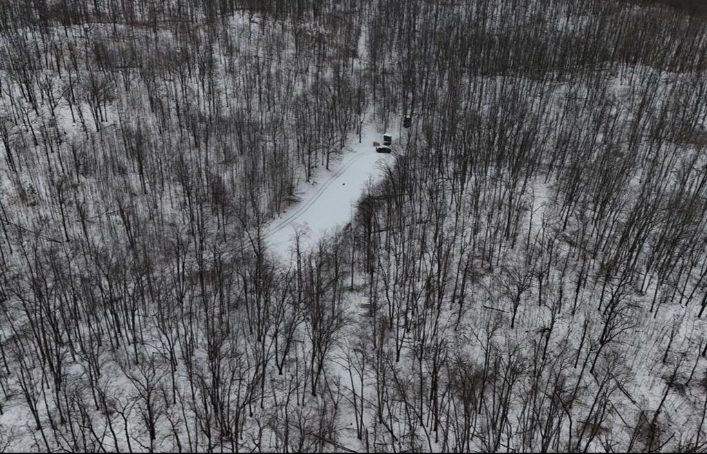 BEAUTIFUL hunting oasis opportunity, 56 acres of pure Northern Michigan. This property has 2 food plots, numerous hunting blinds and stands, acres of mature hardwood, berry bushes and rolling hills. This is your  opportunity to fulfill your hunting desires! Current use is Hunting.