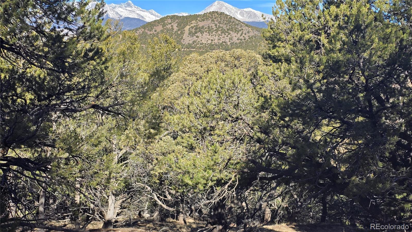 Lot 4510 Iannelli Road